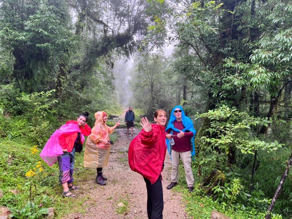 Ghorepani Poon Hill Trek 6 poon hill treeking