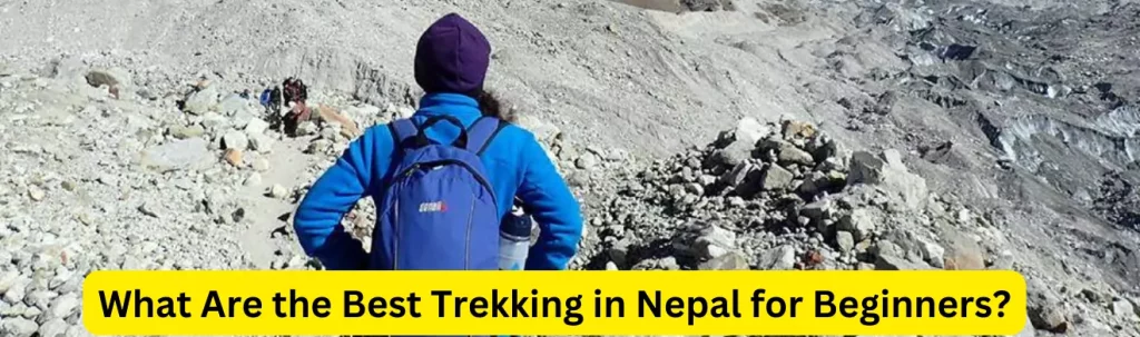 Best Trekking in Nepal for Beginners in 2024