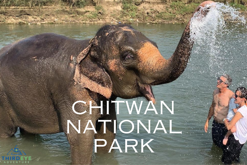 Things to Do and See in the Chitwan National Park